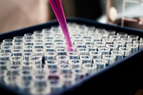 Lab